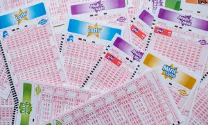 Losy na loterię Lotto, Multi Multi, Mini Lotto i Ekstra Pensja. Zastanawiasz się, jak dokładnie działa mechanizm promocyjny Ekstra Pensja?