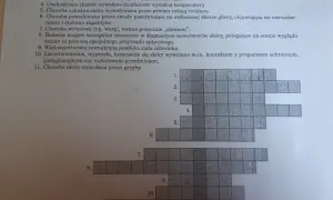 Fragment krzyżówki z numerowanymi polami i listą haseł dotyczących chorób skóry.