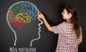Kobieta rysuje kredą kolorowy mózg nastolatka. Rozwiązywanie krzyżówek to realny pożytek dla rozwoju mózgu.