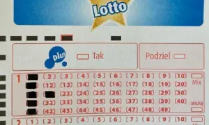 Kupon Lotto z zaznaczonymi numerami. Gdzie jest kod na kuponie lotto? Widoczne pola do wyboru "Plus" i "Podziel".