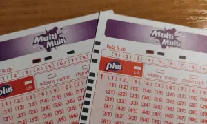 Dwie karty do gry Multi Multi Plus z polami do zaznaczania liczb. Widoczna tabela wygranych w Multi Multi Plus.