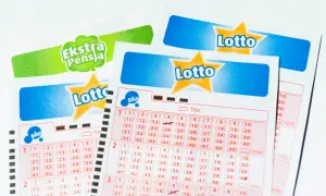 Losy Lotto i Ekstra Pensja. Zastanawiasz się, ile płacą za czwórkę w Lotto Plus? Na kuponach widać zaznaczone liczby.