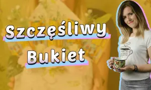 Jak zrobić bukiet z kuponów lotto, który zachwyci każdego obdarowanego