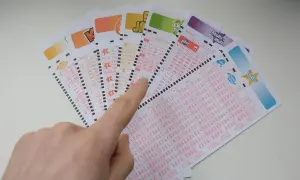 Ręka wskazuje na kupony lotto, sugerując, czy systemy do gier liczbowych mogą przewidzieć wyniki loterii.