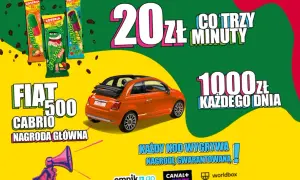 Jak wziąć udział w loterii kaktus i nie przegapić szansy na wygraną