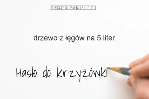 Drzewo z łęgów w krzyżówkach: poznaj tajemnice olchy i jej znaczenie