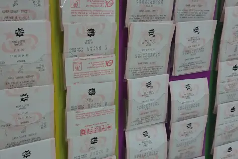 Wyniki lotto sprawdź kupon. Na zdjęciu widać kilka kuponów z gry Mini Lotto i Multi Multi Plus, z datami i numerami.