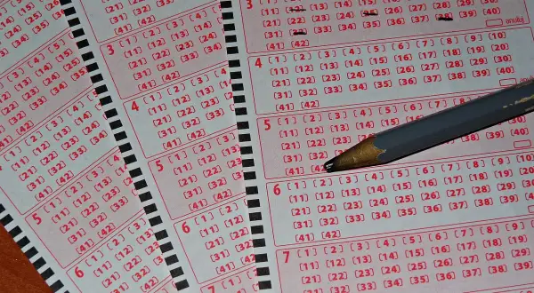 Kupony lotto z zaznaczonymi liczbami, gotowe do gry. Los kaskady wydrukowany przez terminal zawiera pola do wyboru liczb.