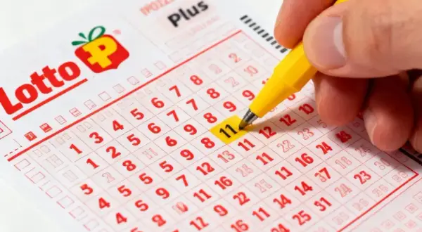 Ręka zaznacza numer 11 na kuponie Lotto Plus. Czy to będzie Twój szczęśliwy numer? mega lotto pl.