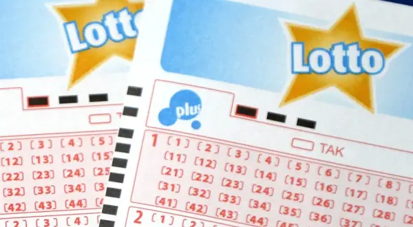 Losy na loterię świąteczną Lotto, z nadzieją na wygrane i sprawdzenie wyników.