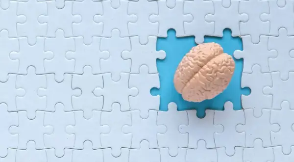 Model mózgu w wyciętym fragmencie białej układanki. Czy rozwiązywanie krzyżówek naprawdę chroni przed chorobą Alzheimera?