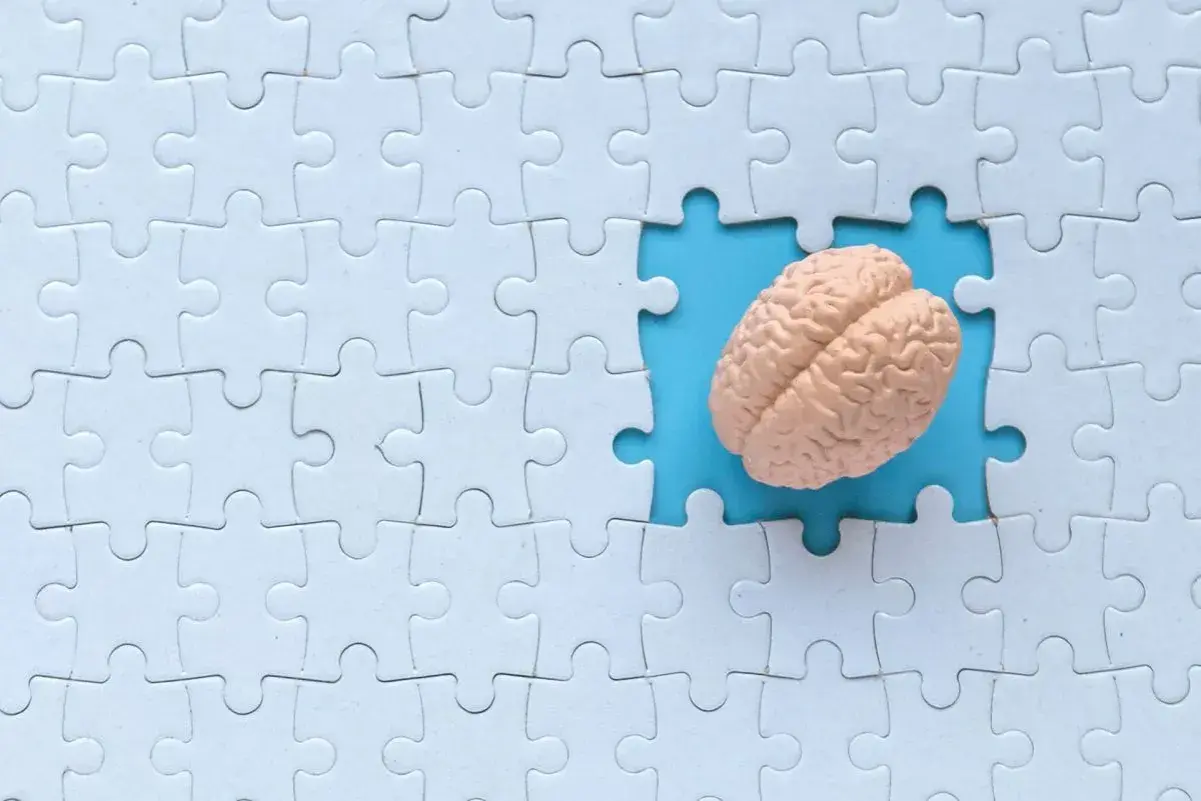 Model mózgu w wyciętym fragmencie białej układanki. Czy rozwiązywanie krzyżówek naprawdę chroni przed chorobą Alzheimera?
