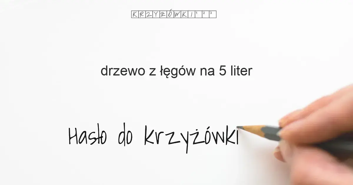 Drzewo z łęgów w krzyżówkach: poznaj tajemnice olchy i jej znaczenie