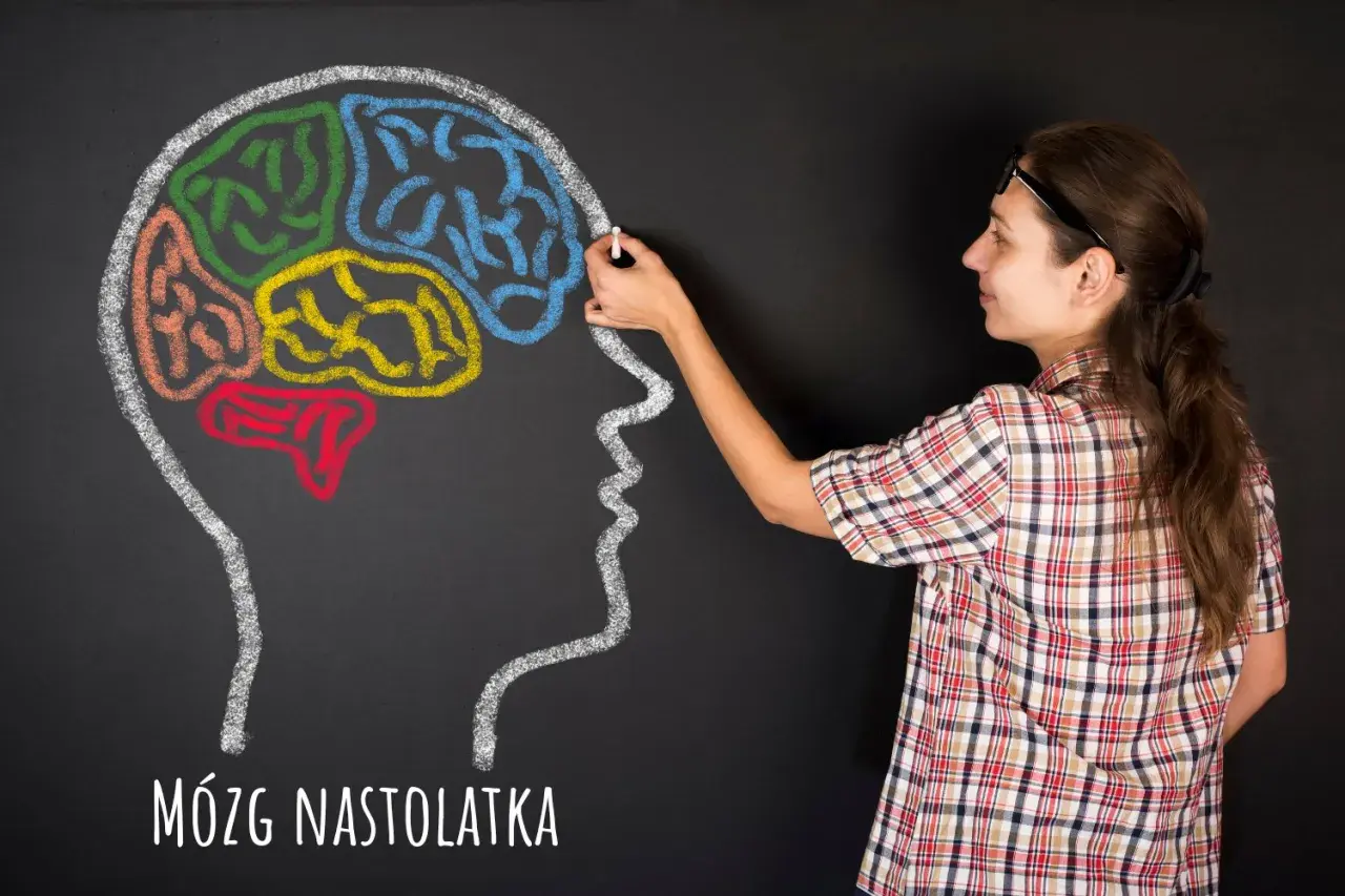 Kobieta rysuje kredą kolorowy mózg nastolatka. Rozwiązywanie krzyżówek to realny pożytek dla rozwoju mózgu.