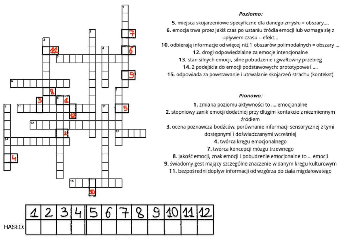 Krzyżówki dla dyslektyków czy pomagają w terapii zaburzeń czytania? Obraz przedstawia krzyżówkę z pytaniami dotyczącymi emocji.