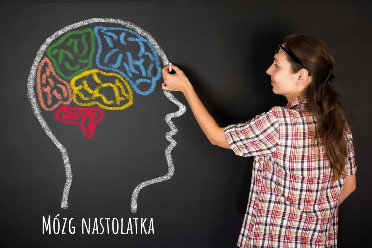 Kobieta rysuje kredą kolorowy mózg na tablicy. Rozwiązywanie krzyżówek to realny pożytek z rozwiązywania krzyżówek dla rozwoju mózgu nastolatka.