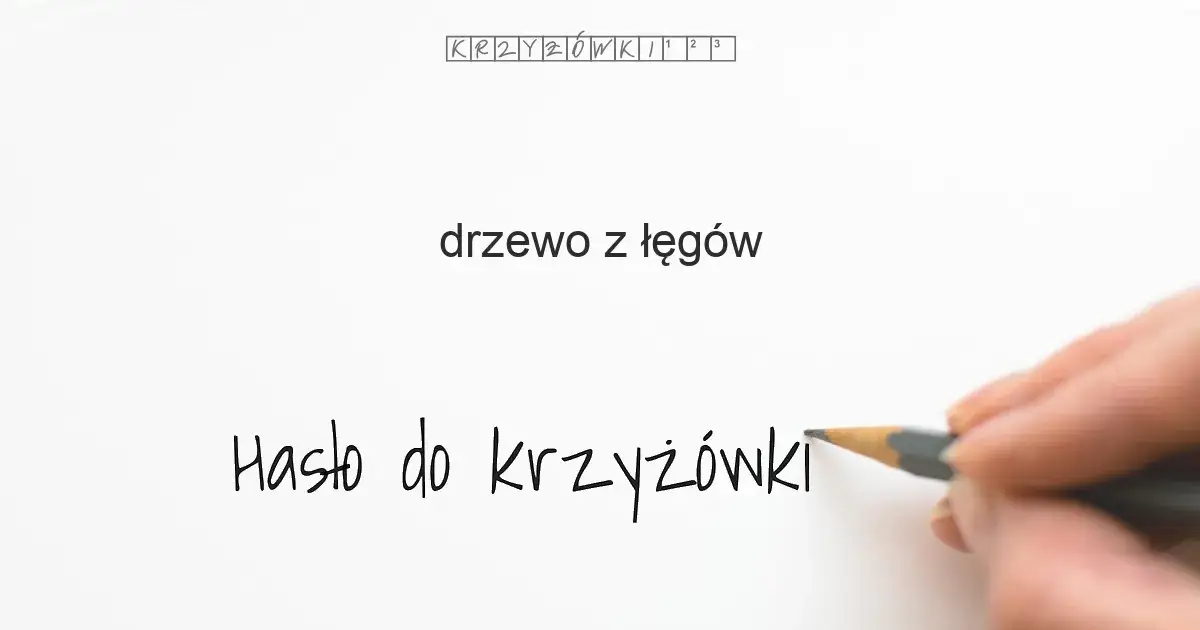 Zdjęcie Drzewo z łęgów w krzyżówkach: poznaj tajemnice olchy i jej znaczenie
