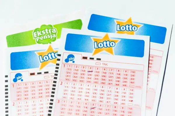 Losy Lotto i Ekstra Pensja. Zastanawiasz się, ile płacą za czwórkę w Lotto Plus? Na kuponach widać zaznaczone liczby.